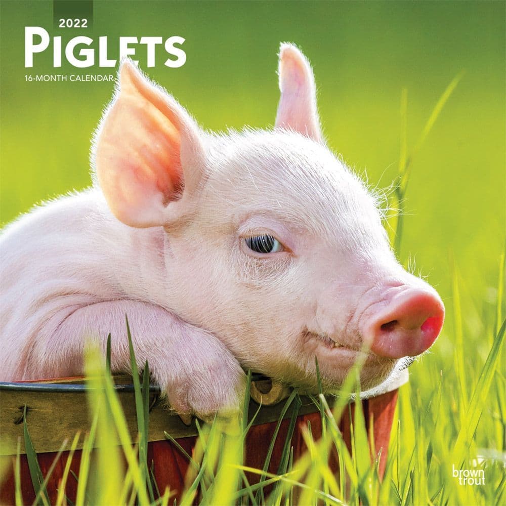 Piglets 2022 Wall Calendar