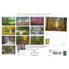 image Into the Woods Deluxe 2026 Wall Calendar First Alternate Image