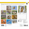 image Owls WWF 2026 Wall Calendar First Alternate Image