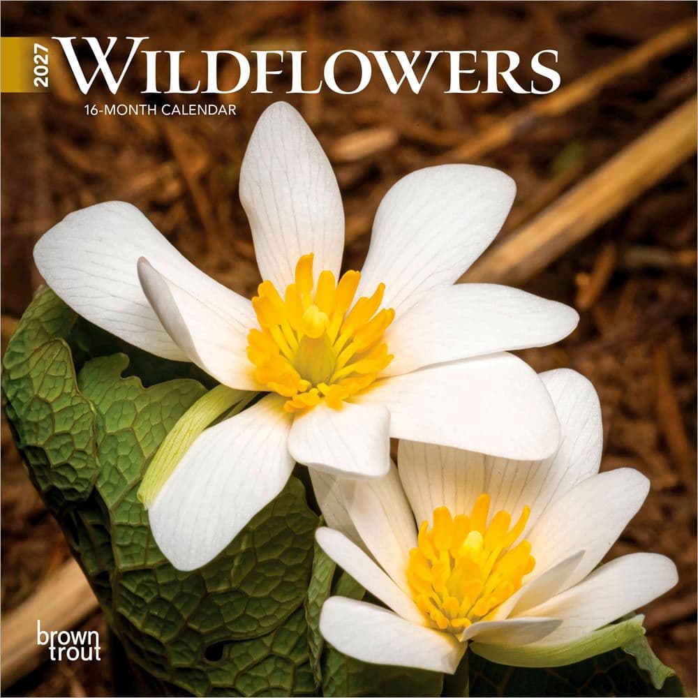 Wildflowers 2027 Mini Wall Calendar