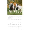 image Gypsy Vanner Horses 2025 Wall Calendar Second Alternate Image width=&quot;1000&quot; height=&quot;1000&quot;