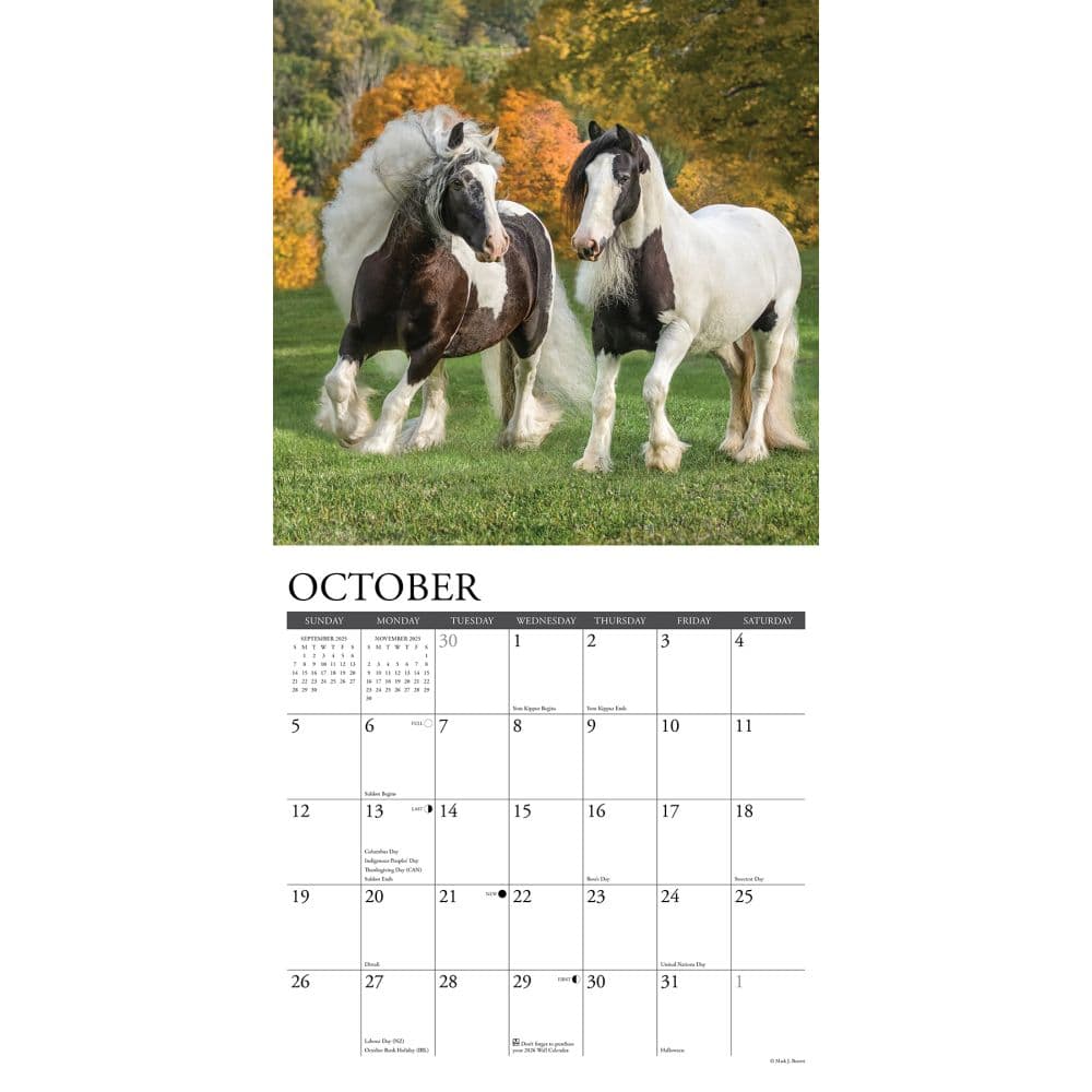 Gypsy Vanner Horses 2025 Wall Calendar Second Alternate Image width=&quot;1000&quot; height=&quot;1000&quot;