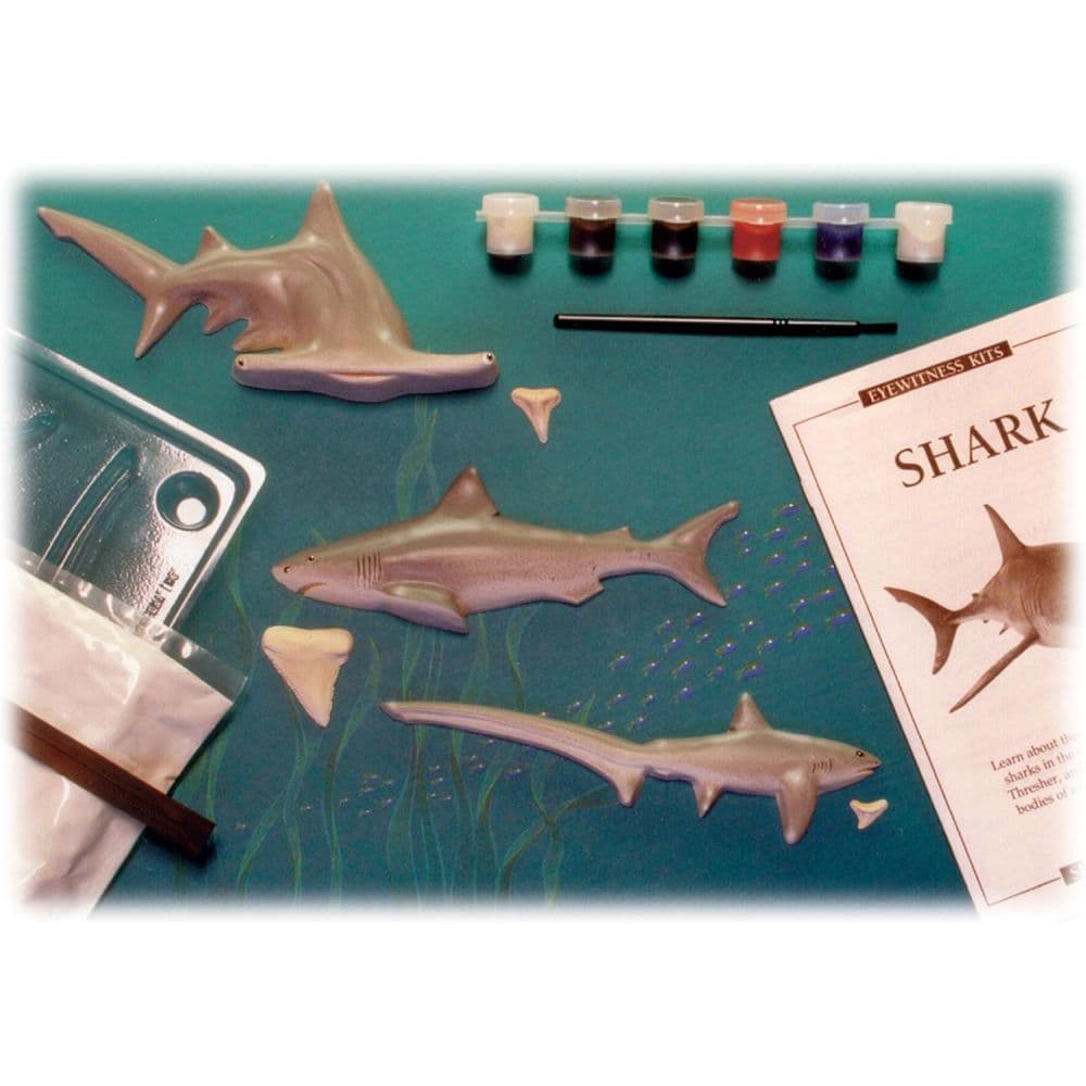 Eyewitness Kit Shark First Alternate Image