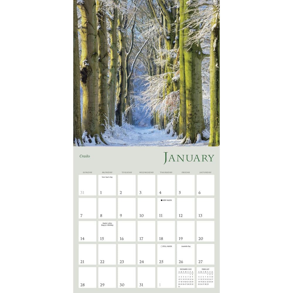 Enchanted Pathways 2025 Wall Calendar