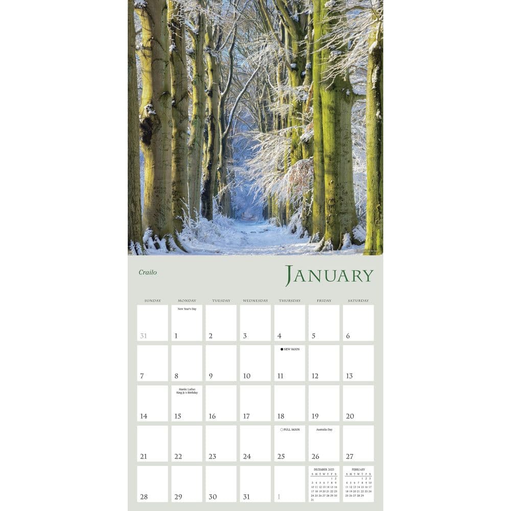 Enchanted Pathways 2024 Wall Calendar