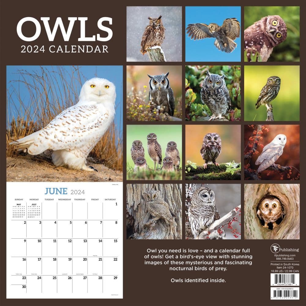 Owls 2025 Wall Calendar