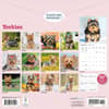 image Just Yorkies 2026 Wall Calendar First Alternate Image