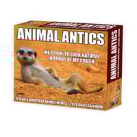 image Animal Antics 2026 Desk Calendar