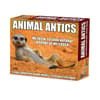 image Animal Antics 2026 Desk Calendar