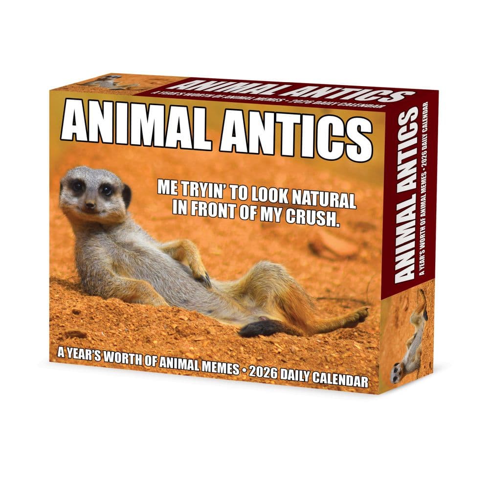 image Animal Antics 2026 Desk Calendar