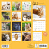 image Cats 2025 Wall Calendar First Alternate Image width=&quot;1000&quot; height=&quot;1000&quot;