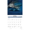 image Whales 2025 Wall Calendar