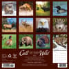 image Call of the Wild 2026 Wall Calendar First Alternate Image