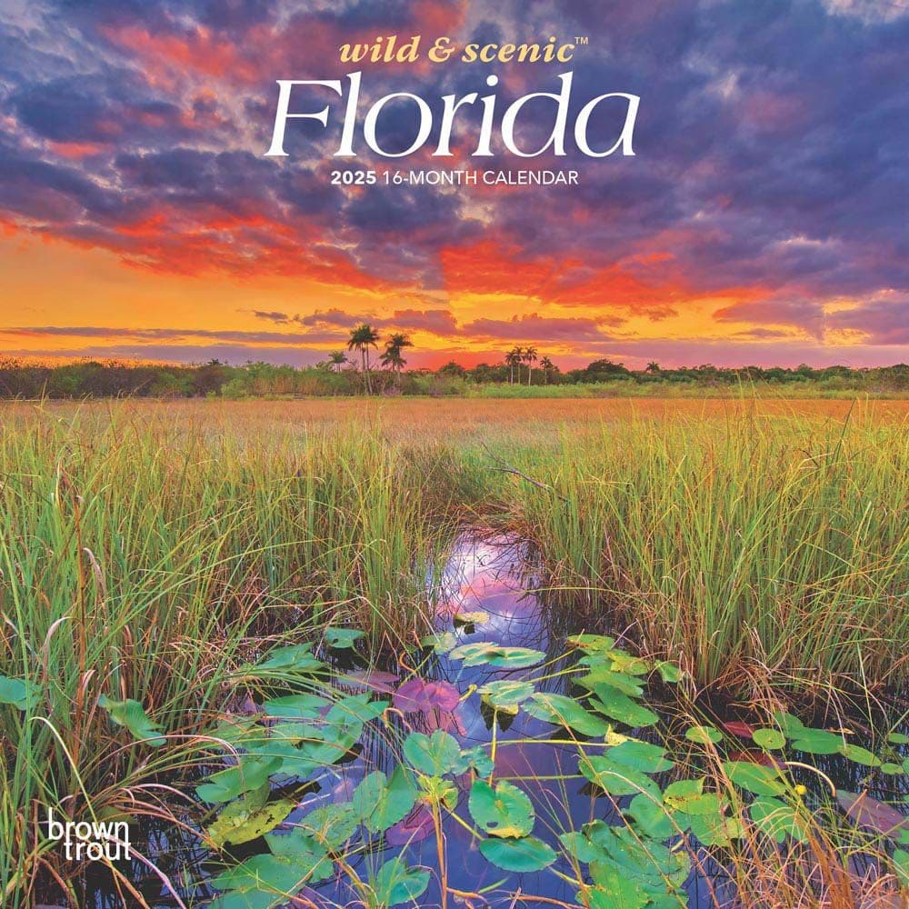 Florida 2025 Mini Wall Calendar  Main Image