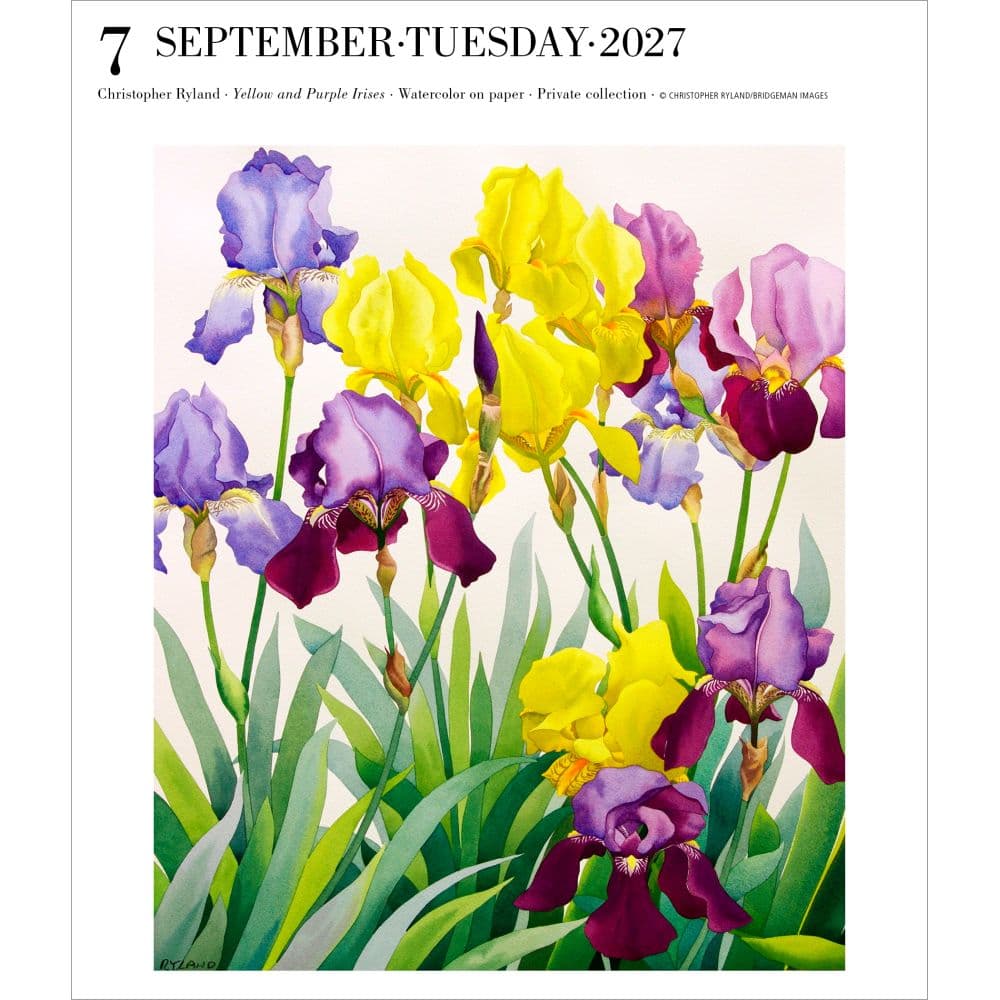 Art Page-A-Day Gallery 2027 Desk Calendar Fourth Alternate Image