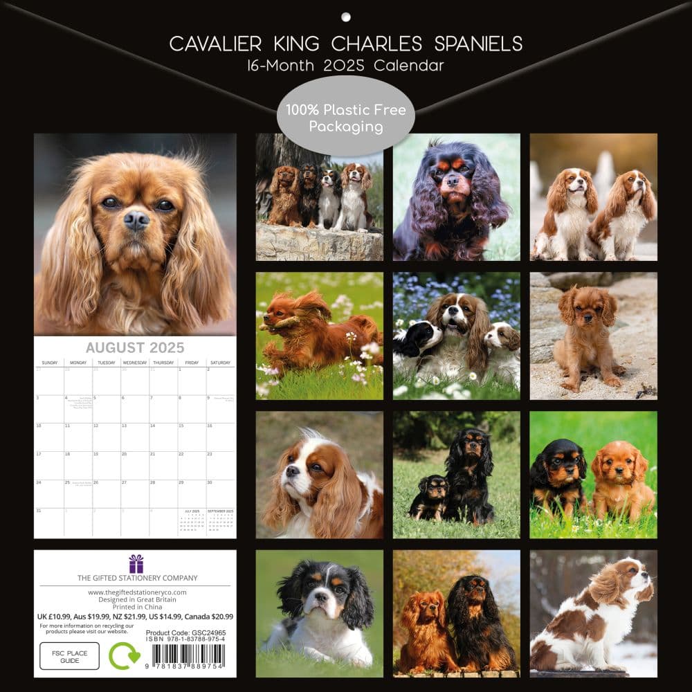 Cavalier King Charles Spaniels 2025 Wall Calendar