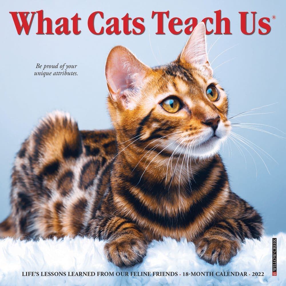 Cats What Cats Teach Us 2022 Mini Wall Calendar