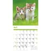 image Kittens Curious 2025 Wall Calendar Second Alternate Image width=&quot;1000&quot; height=&quot;1000&quot;