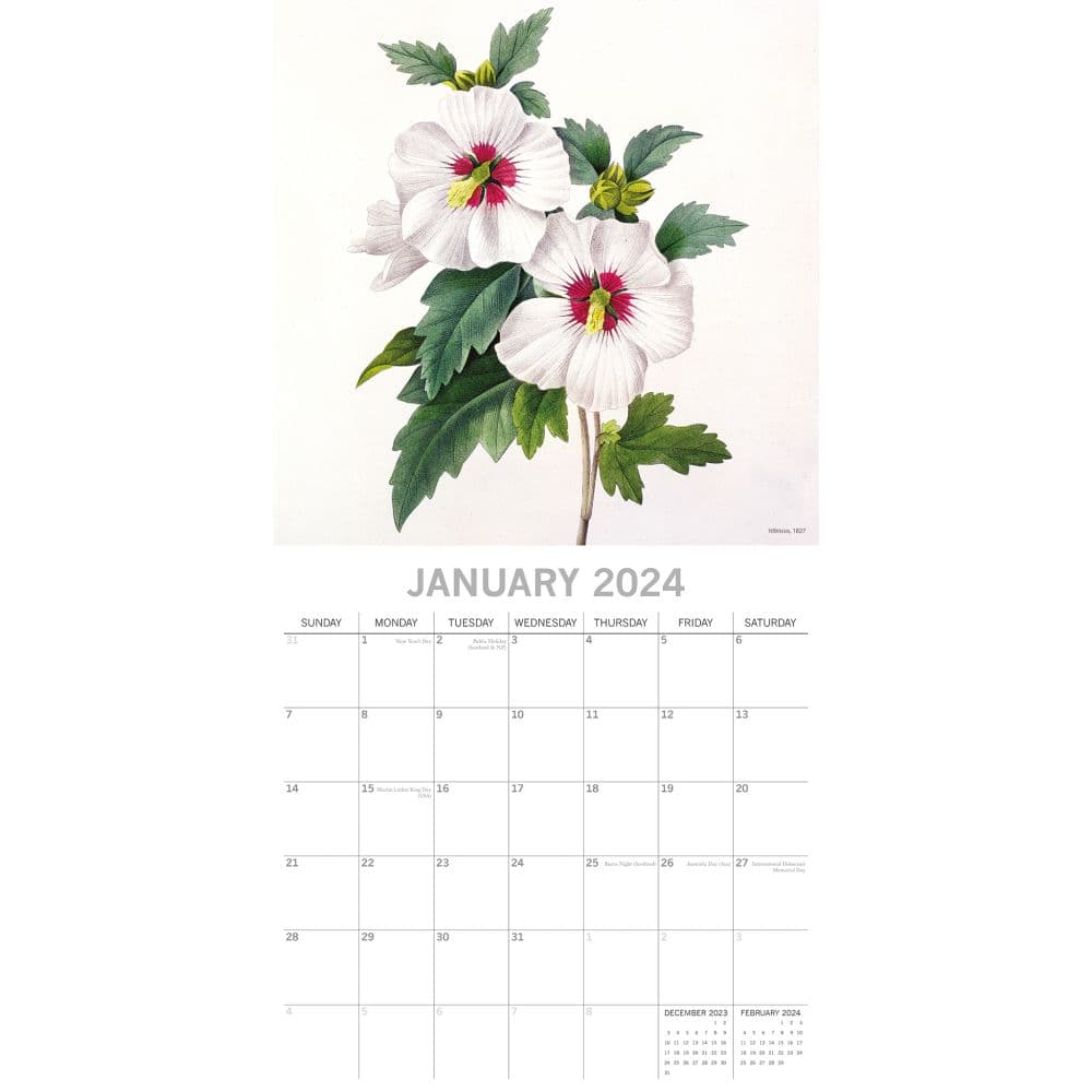 Redoute 2024 Wall Calendar January
