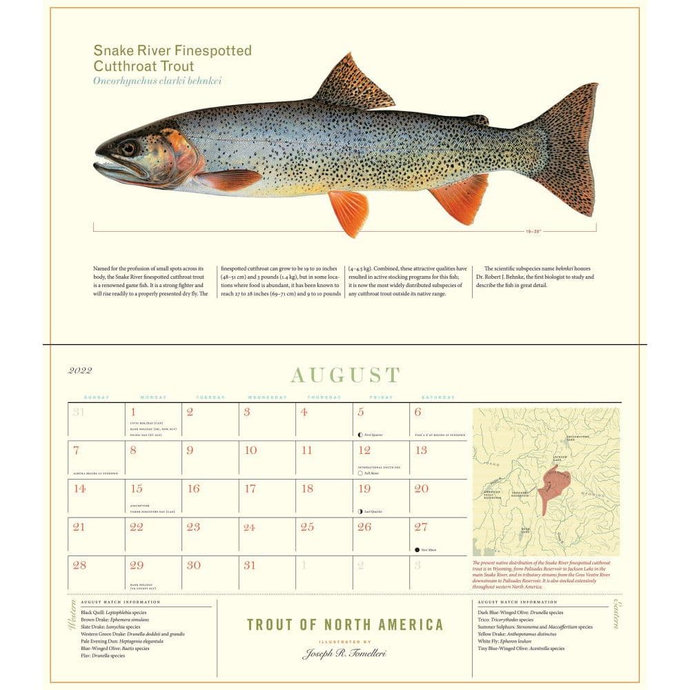 Trout Of North America 2022 Wall Calendar - Calendars.com