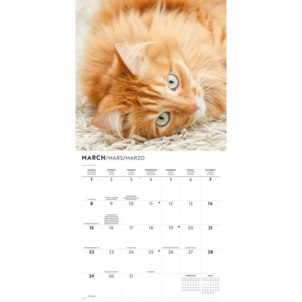 Ginger Cats 2026 Wall Calendar Second Alternate Image