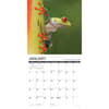 image Frogs 2025 Wall Calendar