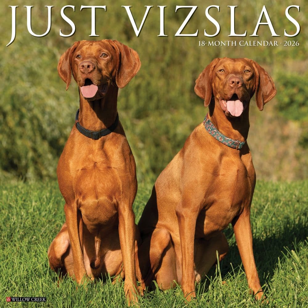 Just Vizslas 2026 Wall Calendar Main Image