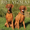 image Just Vizslas 2026 Wall Calendar Main Image