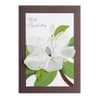 image Magnolia in Vellum Sympathy Card First Alternate Image width=&quot;1000&quot; height=&quot;1000&quot;