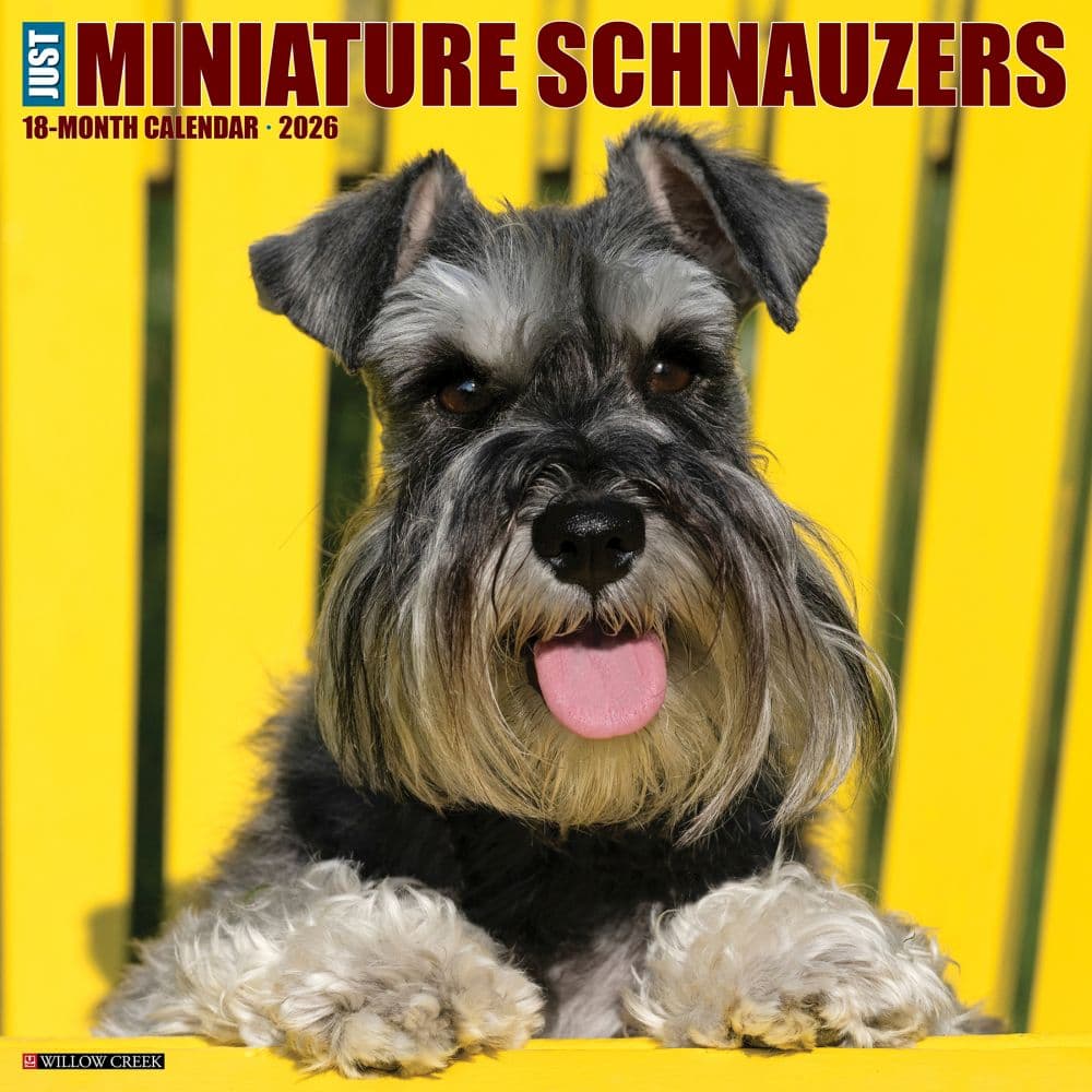 Just Miniature Schnauzers 2026 Wall Calendar Main Image