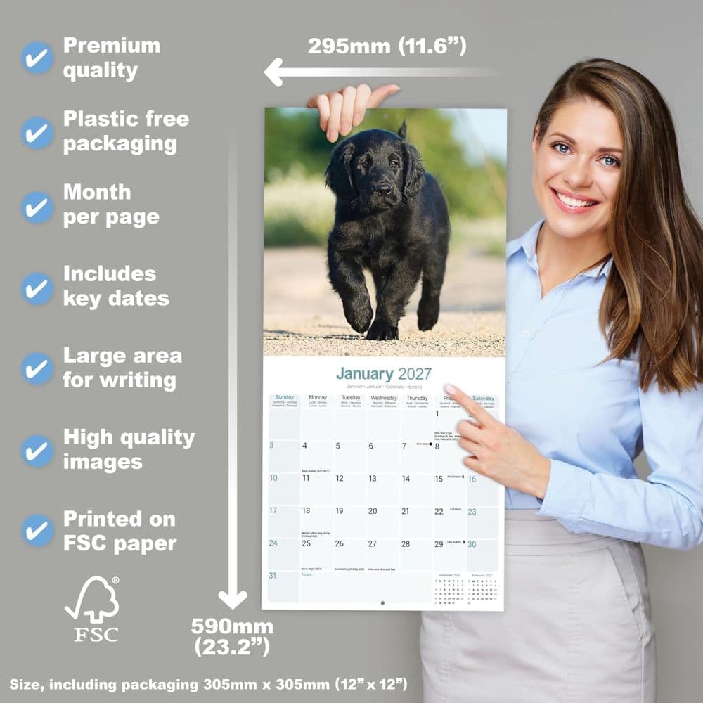 Flatcoated Retriever 2027 Wall Calendar Fifth Alternate Image