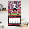 image NFL Atlanta Falcons 2027 Wall Calendar Fifth Alternate Image