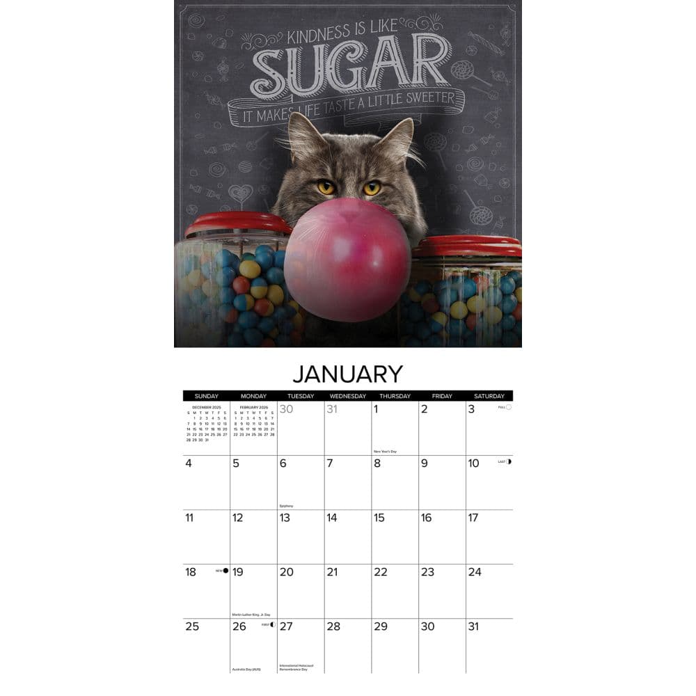 Catspirations 2026 Wall Calendar Second Alternate Image