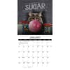 image Catspirations 2026 Wall Calendar Second Alternate Image