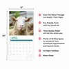 image Sheep 2025 Wall Calendar Eighth Alternate Image