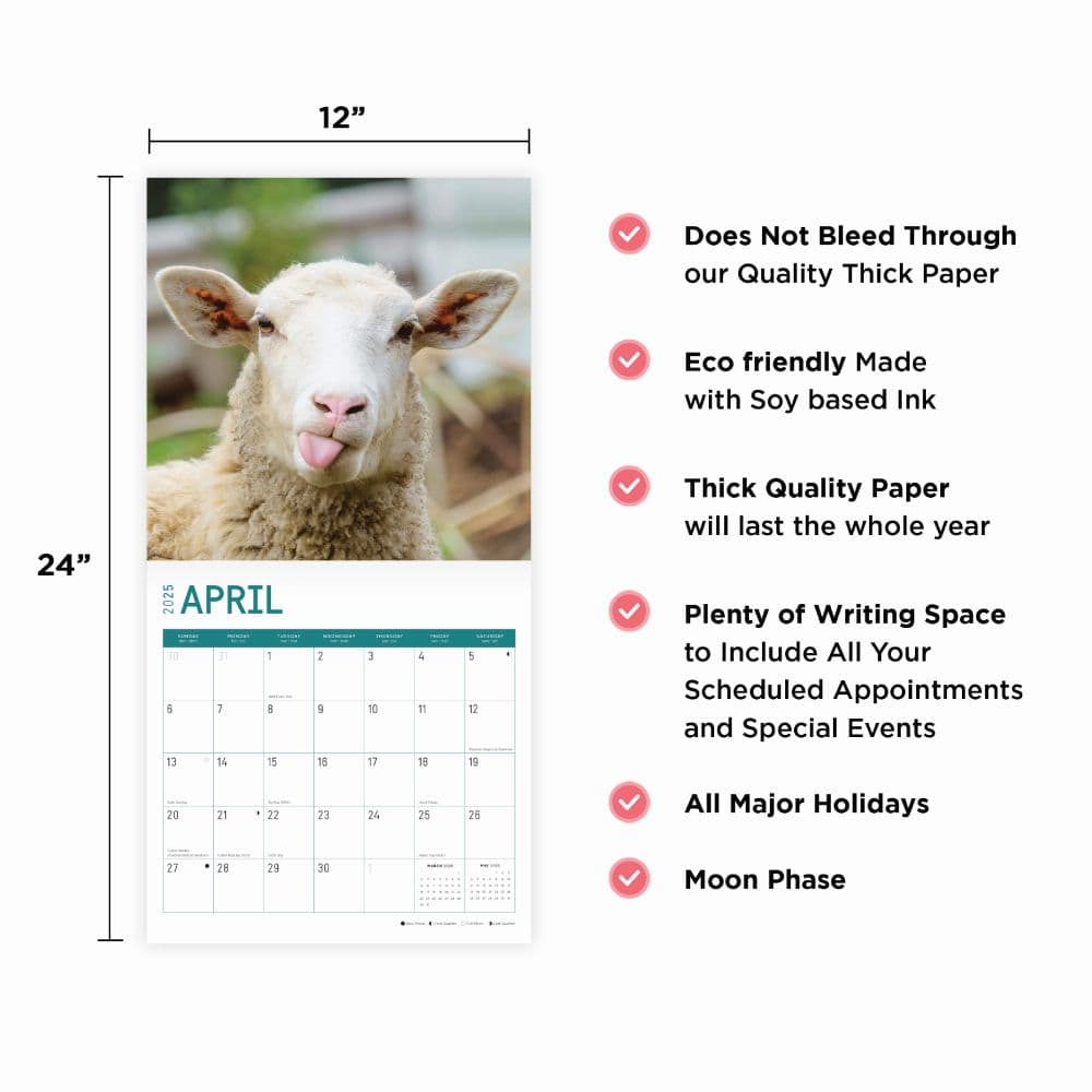 Sheep 2025 Wall Calendar Eighth Alternate Image