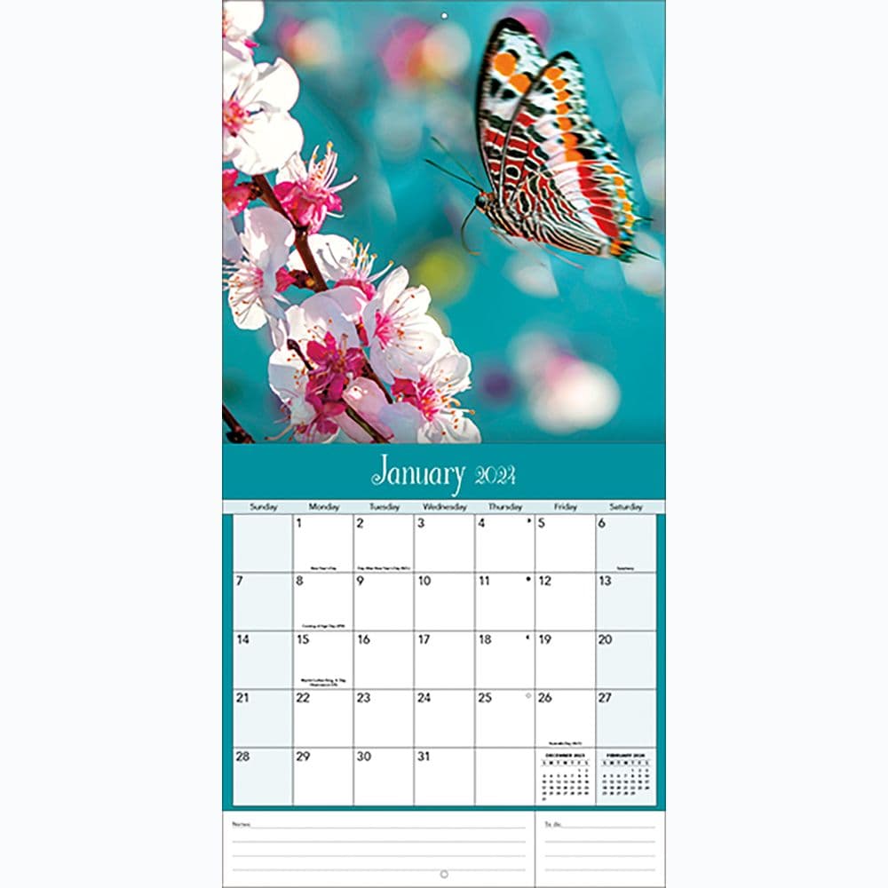 Butterflies 2024 Mini Wall Calendar Second Alternate Image width=&quot;1000&quot; height=&quot;1000&quot;
