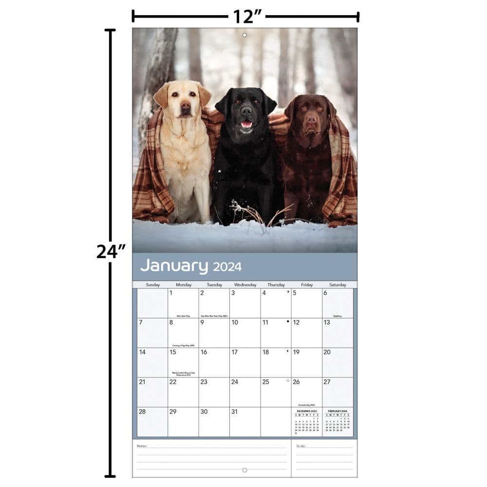 Labrador Retrievers Photo 2024 Wall Calendar