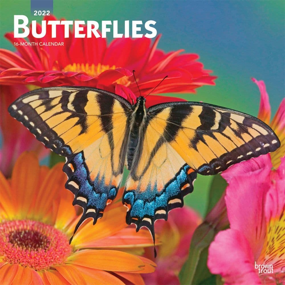 Butterflies 2022 Wall Calendar