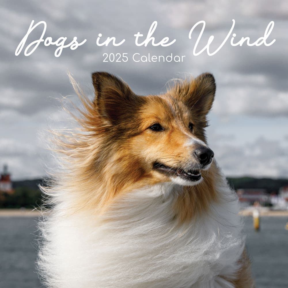 Dogs in the Wind 2025 Wall Calendar Main Product Image width=&quot;1000&quot; height=&quot;1000&quot;