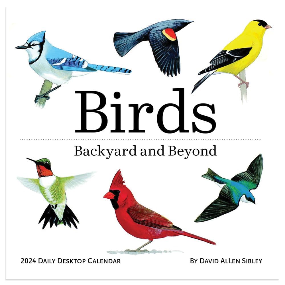 Birds Backyard And Beyond 2024 Desk Calendar Main Image