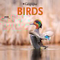 image Birds 2026 Wall Calendar Main Image