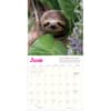 image Sloths 2024 Mini Wall Calendar Alternate Image 1