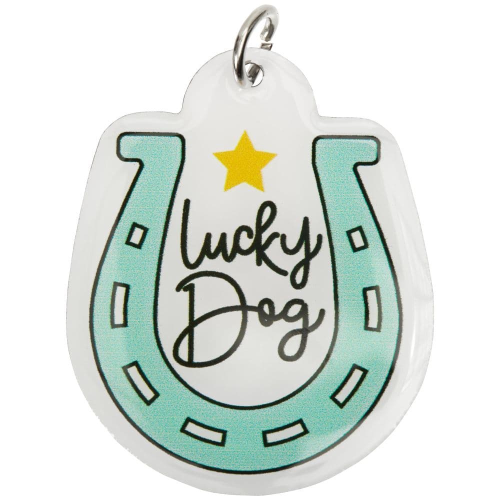 Lucky Dog Collar Charm Main Image