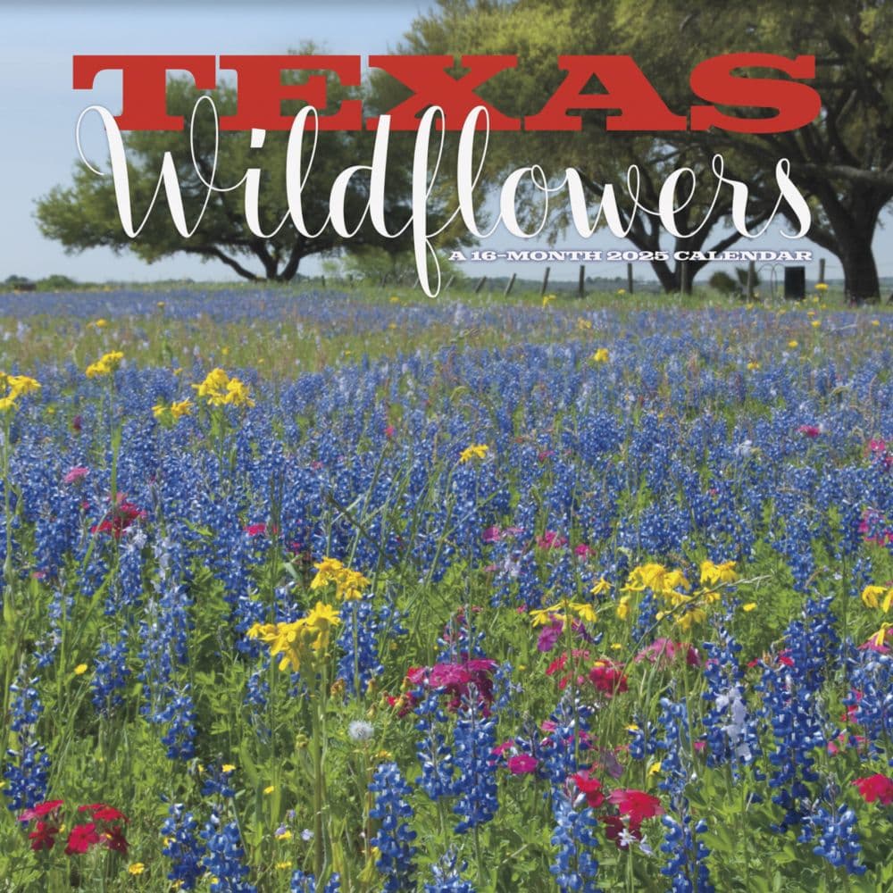 Texas Wildflowers 2025 Wall Calendar