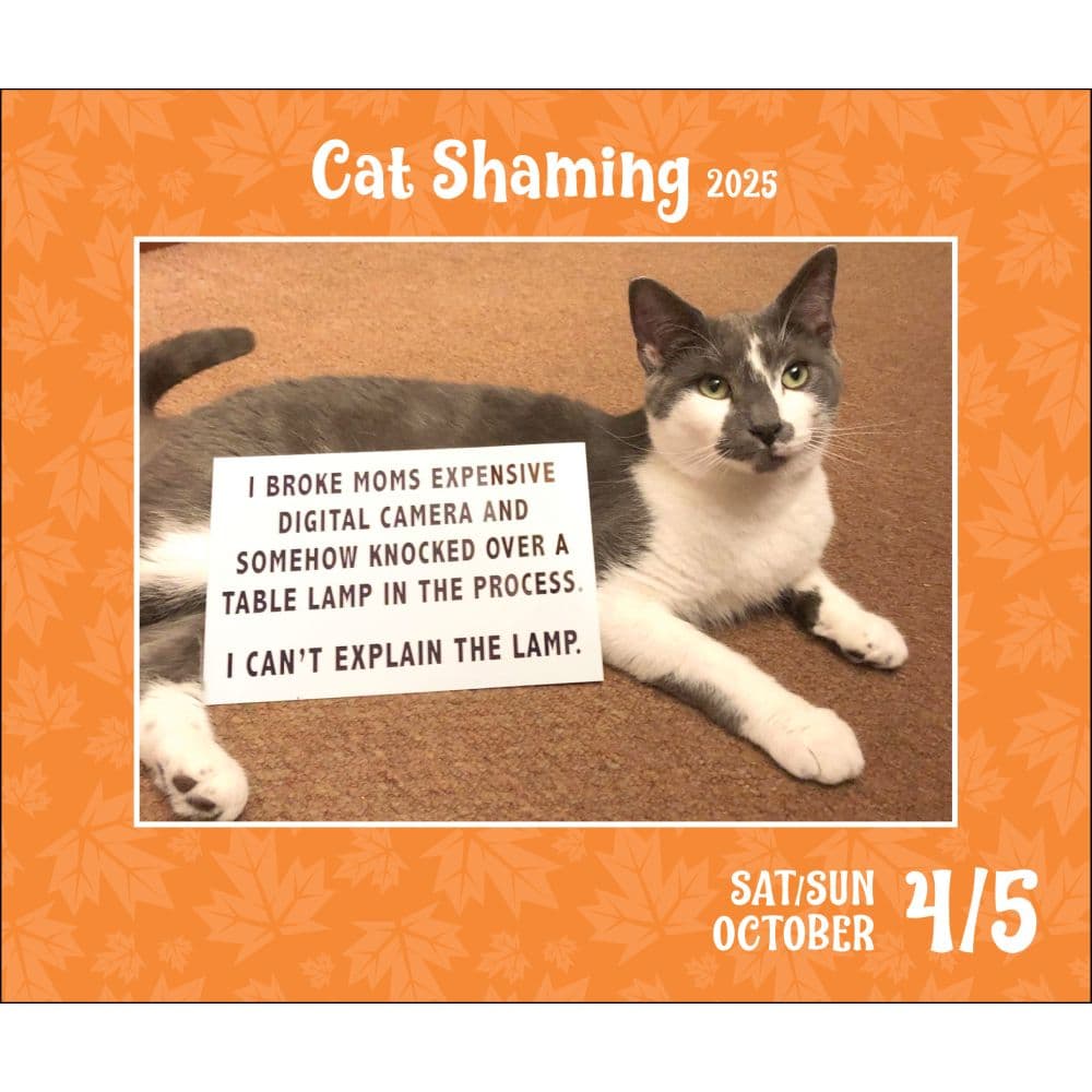 Cat Shaming 2025 Desk Calendar Third Alternate Image width=&quot;1000&quot; height=&quot;1000&quot;