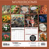 image Mushroom Photo 2026 Wall Calendar