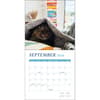 image Cats and Books 2026 Wall Calendar Fourth Alternate Image