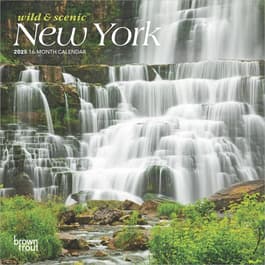 New York 2025 Mini Wall Calendar