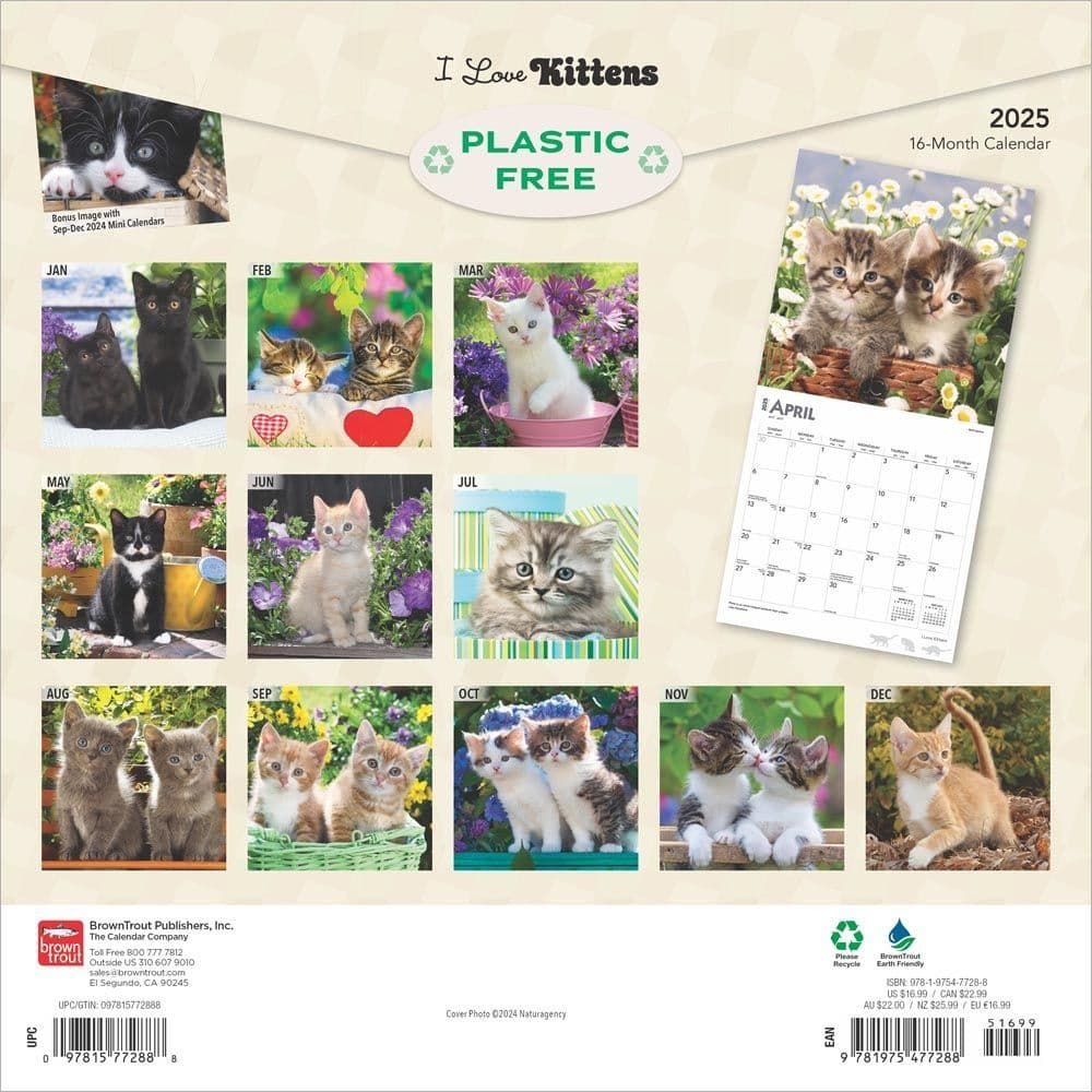 I Love Kittens 2025 Wall Calendar First Alternate Image